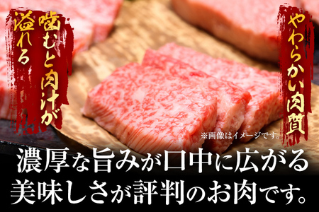 訳あり！博多和牛焼肉切り落とし　1ｋｇ（500ｇ×2ｐ）