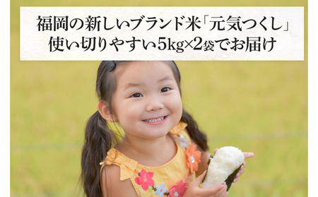 令和7年産　福岡県産ブランド米「元気つくし」無洗米10kg【11月下旬頃より順次出荷予定】