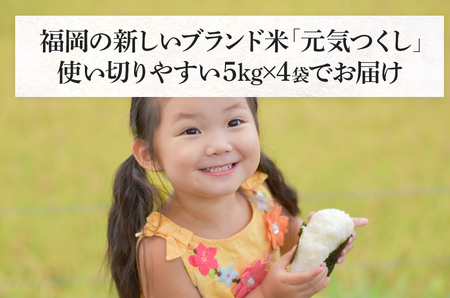 令和7年産　福岡県産ブランド米「元気つくし」無洗米20kg【11月下旬頃より順次出荷予定】