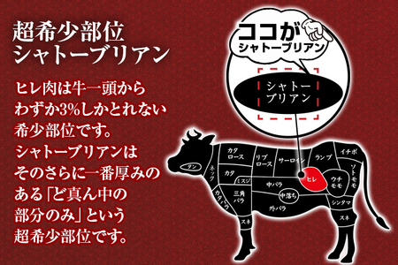 博多和牛シャトーブリアン　480g