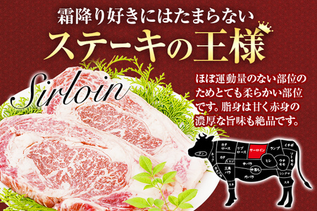 博多和牛　サーロインステーキ　750g