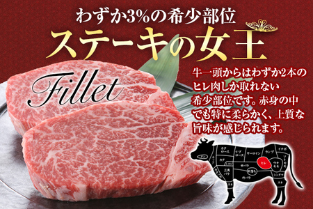 博多和牛ヒレステーキ100g×5枚