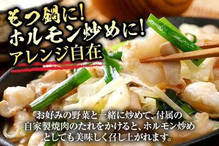 博多和牛もつ鍋用 ホルモン500g