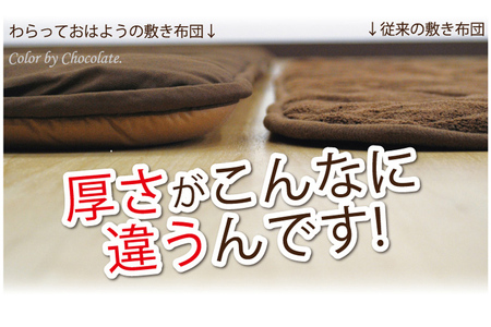 無地カラーこたつ敷き布団 普通判(190×220cm ) チョコレート×モカ