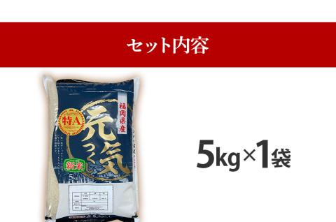 令和7年産　福岡県産ブランド米「元気つくし」白米5kg【11月上旬頃より順次出荷予定】