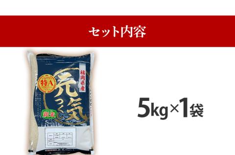 令和7年産　福岡県産ブランド米「元気つくし」無洗米　5kg【11月下旬頃より順次出荷予定】