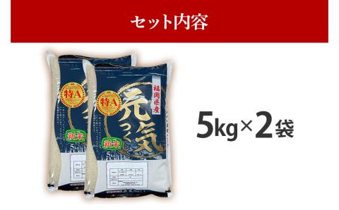 令和7年産　福岡県産ブランド米「元気つくし」白米10kg【11月上旬頃より順次出荷予定】