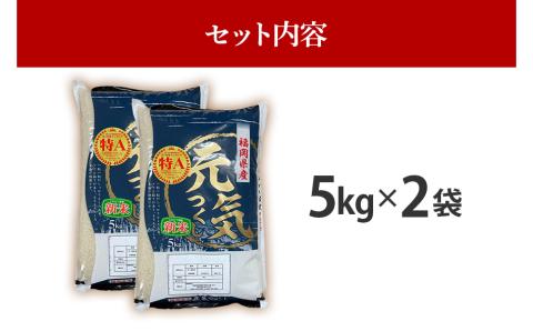 令和7年産　福岡県産ブランド米「元気つくし」無洗米10kg【11月下旬頃より順次出荷予定】