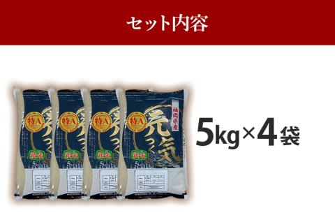 令和7年産　福岡県産ブランド米「元気つくし」白米20kg【11月上旬頃より順次出荷予定】