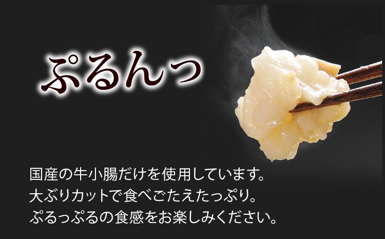 博多もつ鍋セット あごだし醤油味 もつ鍋 国産牛 小腸 3～4人前×3セット ちゃんぽん麺 鍋セット グルメ 牛もつ 醤油 ホルモン 冷凍 スープ お取り寄せ 博多 九州