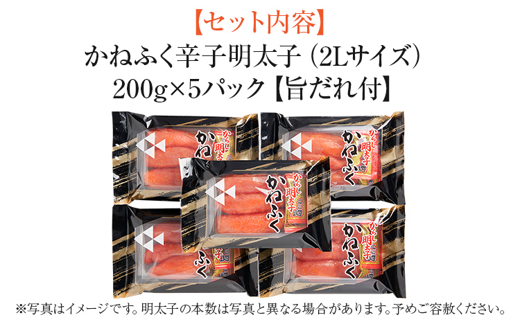 辛子明太子 かねふく 2Lサイズ 1kg（200g×5） 旨だれ付き めんたいこ 明太子 大容量 福岡 博多 九州 ご当地グルメ 福岡土産 ごはんのおとも 福岡県