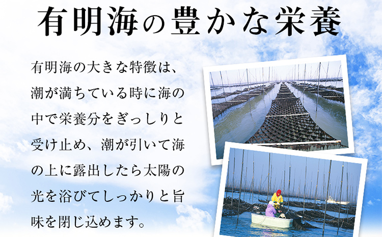 【訳あり】 有明海産 焼き海苔 全形50枚 福岡有明のり 海苔 のり 有明海苔 有明 福岡県 福岡 九州 グルメ お取り寄せ