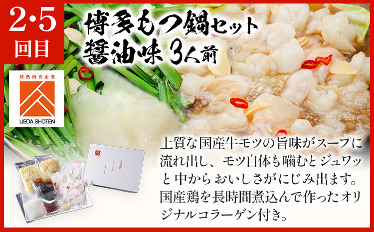 博多名物もつ鍋バラエティセット【隔月定期便（年6回発送）】 モツ鍋 もつ鍋セット モツ鍋セット もつなべ 醤油 しょうゆ ちゃんぽん 博多 専門店 3人前 4人前 福岡県 福岡 九州 グルメ お取り寄せ
