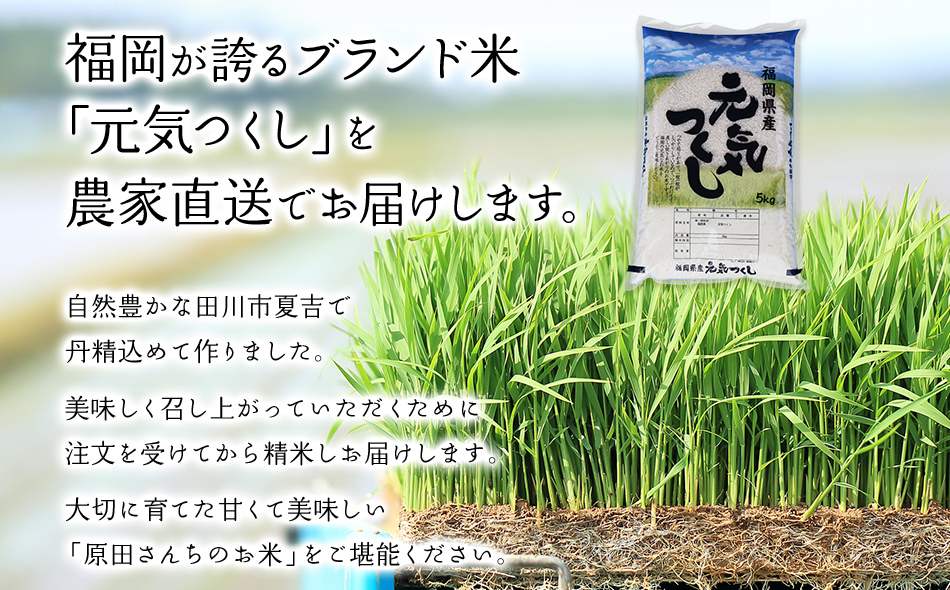 「原田さんちのお米」元気つくし5kg お取り寄せグルメ お取り寄せ 福岡 お土産 九州 ご当地グルメ 福岡土産 取り寄せ 福岡県 食品
