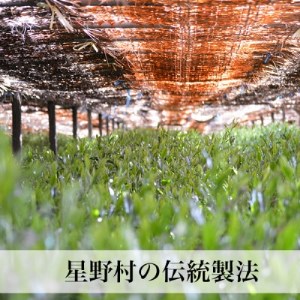 【2025年産】 八女茶 緑茶 奥八女・星野村の伝統本玉露　　80g