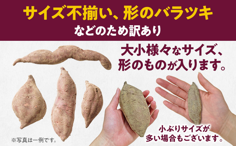 先行予約 訳あり 紅はるか 熟成 紅はるか 5kg さつまいも 4000円 芋 サツマイモ 土付き サイズ色々 サイズ不揃い 九州産 焼き芋 やきいも 甘い デザート スイートポテト 生芋 おやつ デザート 野菜 いも