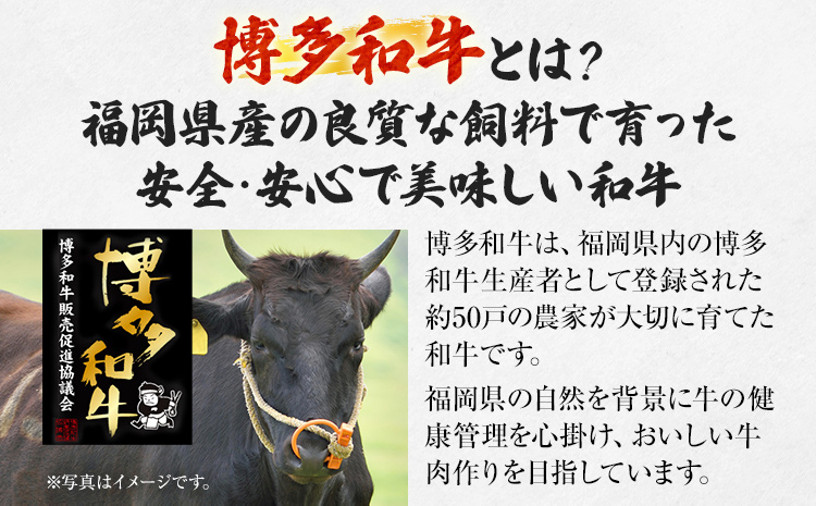【厳選肉専門店 ふじ匠】 博多和牛 サイコロステーキ 肉 牛肉 博多和牛 もも肉 ウデ肉 肉専用オリジナルスパイス付 福岡 グルメ 贈り物 冷凍 ギフト 柔らかい ステーキ 丼 お取り寄せ 食品