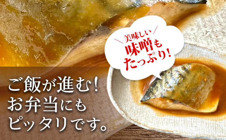 【定期便】骨なし 鯖の味噌煮 （合計4回） 魚 海産物 魚介 海鮮 惣菜 和食 レンジ レンチン 湯銭 調理済 調理済み 温めるだけ 晩御飯 おかず 冷凍 お弁当 レンジ調理 サバ