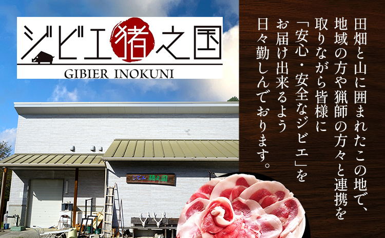 牡丹鍋 焼肉に ! 猪肉 薄切り スライス 200g × 3パック 小分け ジビエ いのしし 国産 天然 鍋 焼肉 グルメ お取り寄せ