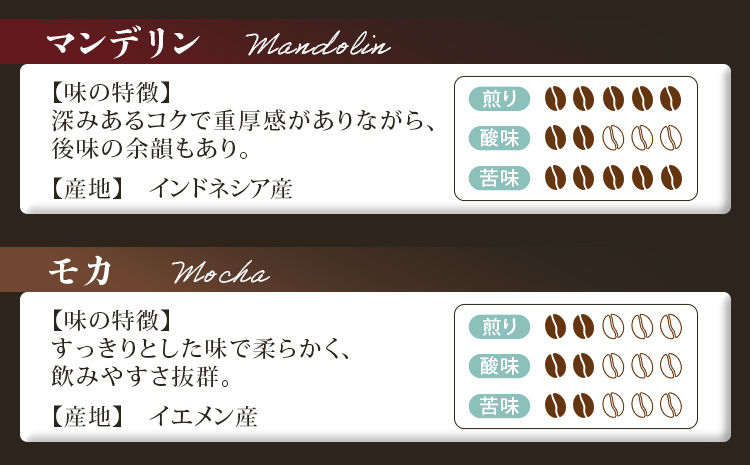 GRAN TORINO コールドコーヒー 720ml + おまかせ ドリップパック 10袋 キリマン トラッドブレンド グアテマラ モカ マンデリン 自家焙煎 珈琲 コーヒードリンク 飲料 福岡県 福岡 九州 グルメ お取り寄せ