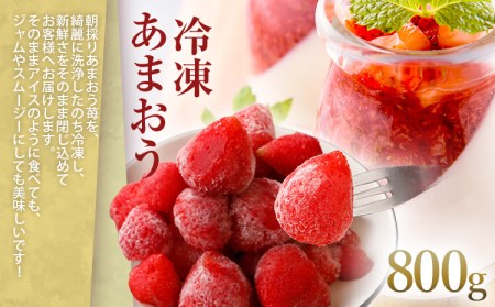 訳アリ！博多和牛切り落とし＆あまおうセット　1.3kg