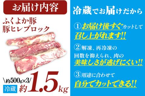 ふくよか豚ヒレブロック約1.5kg 豚ヒレブロック 約1.5kg(約500g×3) 豚ヒレブロック肉 豚ヒレ ヒレ ブロック 希少 ふくよか豚 ヒレステーキ ヒレカツ とんかつ フィレ 焼き肉 豚肉