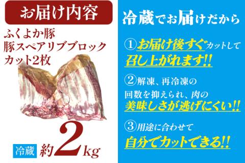ふくよか豚肉 スペアリブブロックカット2枚約2kg