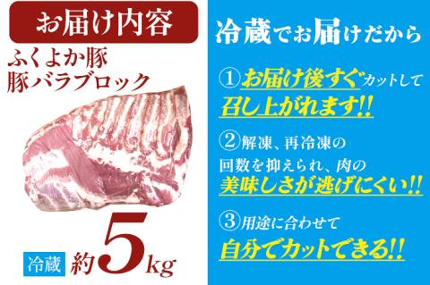 ふくよか豚バラブロック 約5kg