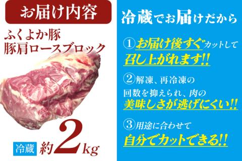 ふくよか豚肩ロースブロック約2kg 豚肩ロースブロック 豚肩ロースブロック肉 豚肉 肩ロース ブロック肉 豚ブロック肉 豚 ふくよか豚 トンテキ ステーキ しょうが焼き とんかつ チャーシュー