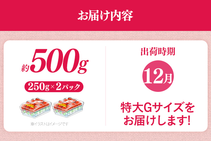 福岡県産 あまおう 500g （250g×2パック） いちご 12月中発送 いちご 苺 フルーツ 果物 くだもの 大粒Gサイズ グランデ 農家直送 大粒 不揃い 福岡県 福岡 九州 グルメ お取り寄せ