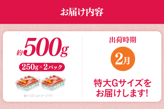 福岡県産 あまおう 500g （250g×2パック） いちご 2月中発送 いちご 苺 フルーツ 果物 くだもの 大粒Gサイズ グランデ 農家直送 大粒 不揃い 福岡県 福岡 九州 グルメ お取り寄せ