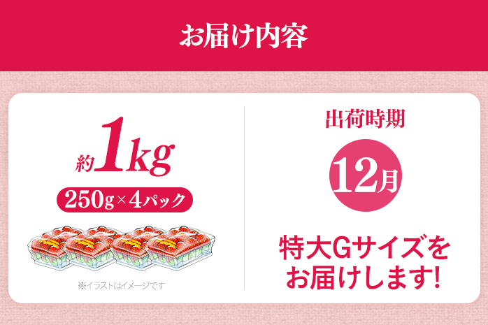 福岡県産 あまおう 1000g （250g×4パック） いちご 12月中発送 いちご 苺 フルーツ 果物 くだもの 大粒Gサイズ グランデ 農家直送 大粒 不揃い 福岡県 福岡 九州 グルメ お取り寄せ