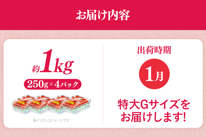 福岡県産 あまおう 1000g （250g×4パック） いちご 1月中発送 いちご 苺 フルーツ 果物 くだもの 大粒Gサイズ グランデ 農家直送 大粒 不揃い 福岡県 福岡 九州 グルメ お取り寄せ