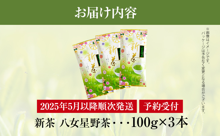 【予約返礼品/2025年5月以降順次発送】新茶 八女星野茶 100g×3本 緑茶 八女茶 お茶 茶葉 セット お取り寄せグルメ お取り寄せ 福岡 お土産 九州 福岡土産 取り寄せ グルメ 福岡県