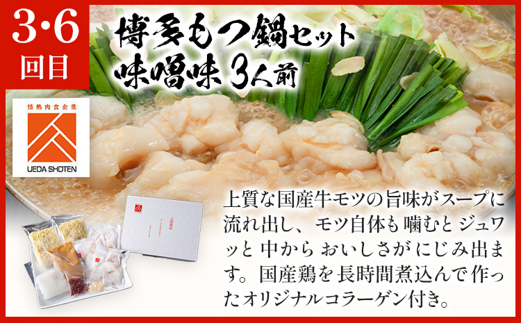 「上田商店」おすすめ定期便 【隔月定期便（年6回発送）】 水炊き もつ鍋 モツ鍋 セット ありた鶏 ぶつ切り ぶつ切 醤油 しょうゆ 味噌 みそ ちゃんぽん 博多 専門店 2人前 3人前 福岡県 福岡 九州 グルメ お取り寄せ