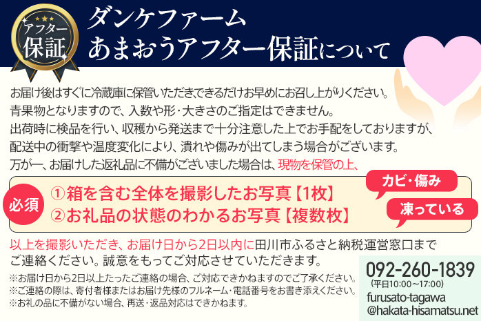 アフター保証 いちご あまおう 8～9粒入り×2パック【先行受付／2026年1月以降順次発送予定】