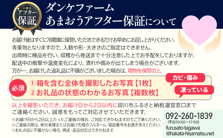 アフター保証 いちご あまおう 約550g（約275g×2パック）【先行受付／2026年2月以降順次発送予定】