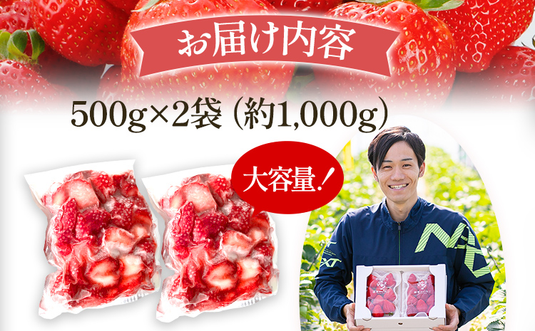 いちご あまおう 博多あまおう 暖家の冷凍いちご 苺 フルーツ 果物 くだもの 500g×2袋 1000g 1kg 冷凍あまおう 入賞 真空パック ヘタ処理済み IPM 福岡県 福岡 九州 グルメ お取り寄せ