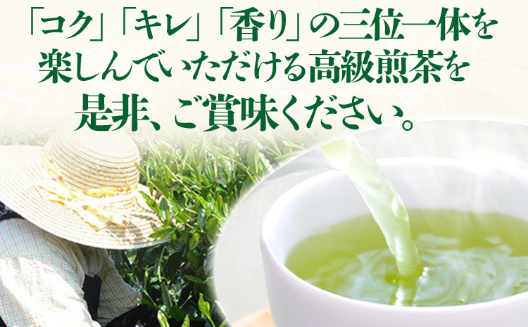 【2025年産】緑茶 星野茶 八女茶 お茶 星野村の八女茶 高級煎茶 桃山 80g お取り寄せグルメ お取り寄せ 福岡 お土産 九州 福岡土産 取り寄せ グルメ 福岡県