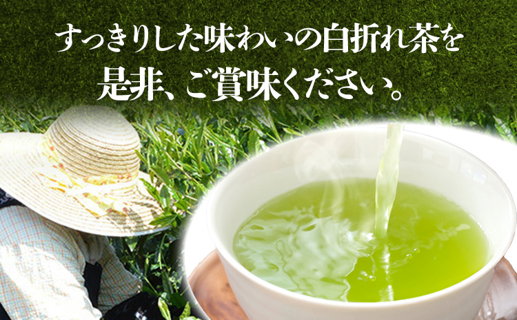 【2025年産】緑茶 星野茶 八女茶 お茶 星野村の八女茶 特上白折れ茶 240g（80g×3本） お取り寄せグルメ お取り寄せ 福岡 お土産 九州 福岡土産 取り寄せ グルメ 福岡県