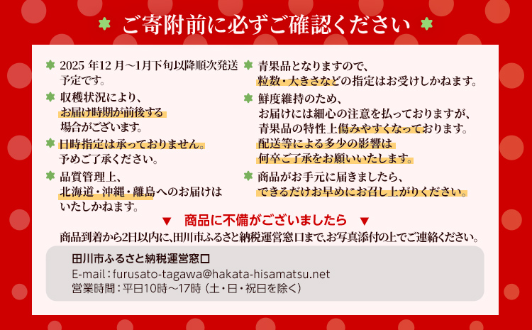 【先行受付】農家直送 朝採り新鮮いちご【博多あまおう】＜1月下旬より順次発送＞ 約270g×2パック 福岡県産 苺 イチゴ 朝採れ 冷蔵 スイーツ ジュース ギフト プレゼント お土産 九州 福岡土産 ※北海道・沖縄・離島は配送不可