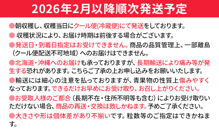 【先行予約/2026年】あまおうプレミアム 約270g×4パック《2026年2月以降順次発送》 農家直送 あまおう いちご 苺  フルーツ お取り寄せグルメ お取り寄せ 福岡 お土産 九州  福岡土産 取り寄せ グルメ  福岡県 【北海道・沖縄・離島への配送不可】