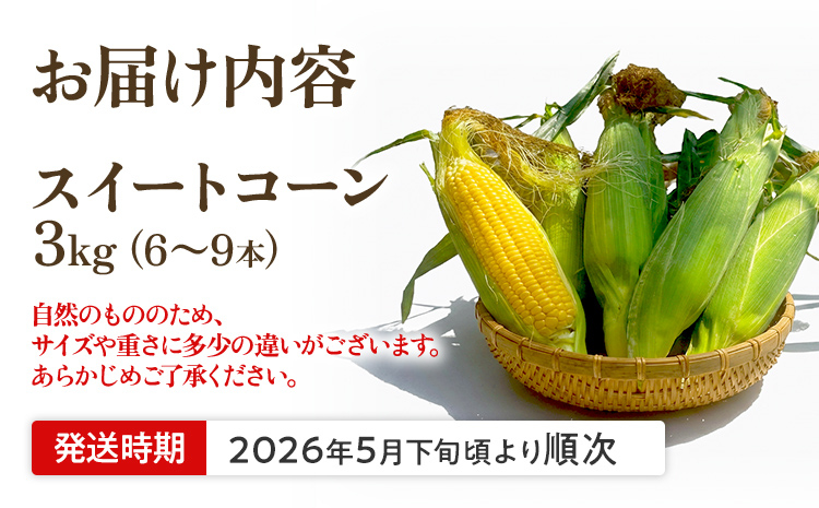 とうもろこし スイートコーン 3kg（6~9本）野菜 コーン スーパースイートコーン 採れたて 糖度20度 【2026年5月下旬頃より順次発送予定】