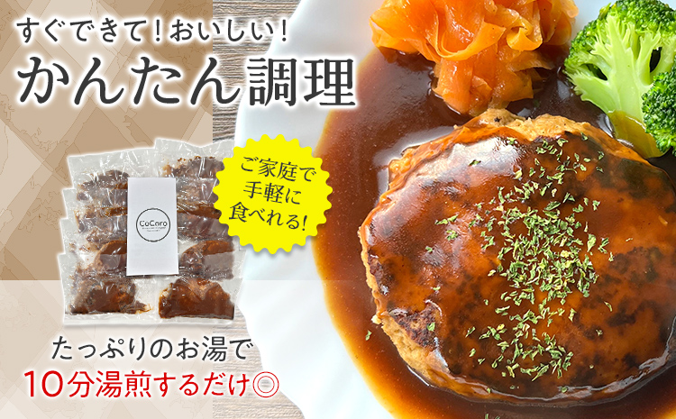 【定期便】 手捏ね デミグラス ハンバーグ （合計4回） ハンバーグ 手ごね デミグラス 国産 晩御飯 おかず お弁当 冷凍 合挽 レンジ 温めるだけ レンチン 湯銭 福岡 お土産 九州 福岡土産 福岡県