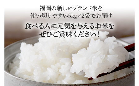 令和7年産　福岡県産ブランド米「元気つくし」無洗米10kg【11月下旬頃より順次出荷予定】