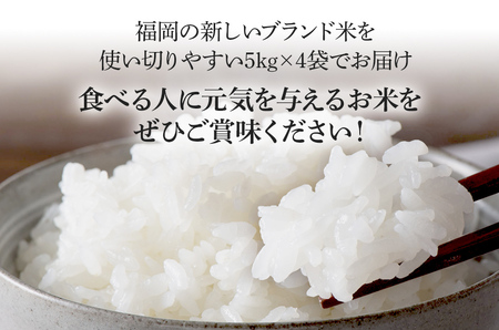 令和7年産　福岡県産ブランド米「元気つくし」無洗米20kg【11月下旬頃より順次出荷予定】
