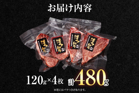 博多和牛シャトーブリアン　480g