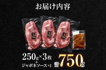 博多和牛　サーロインステーキ　750g