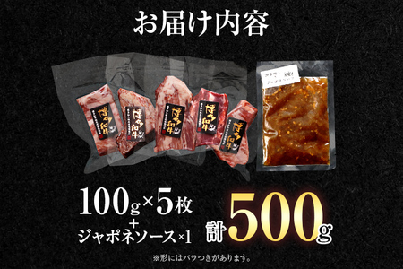博多和牛ヒレステーキ100g×5枚