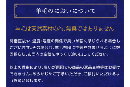しっかり羊毛混！オールシーズンあったか掛け布団 ブルーB
